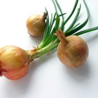 Unpolished rice on wooden background