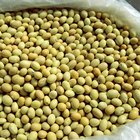 Beans in Stainless Steel Pot