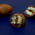 Active Senior woman with handful of walnuts
