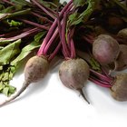 Grilling beetroots