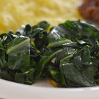 Raw tripe pieces