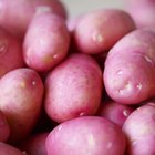 Grilling beetroots