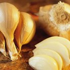 Fresh garlic on wooden background