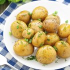 Piece of potato bake on plate