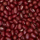 Beans in Stainless Steel Pot