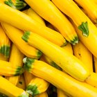 Spaghetti Squash top down view