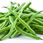 Chicken and bean soup