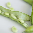 Green Beans