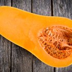 Butternut Squash