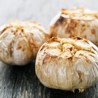 Fresh garlic on wooden background