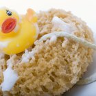 loofah sponge