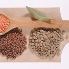 Lentil and vegetables
