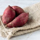 Fresh Organic Fruits and Vegetables at Farmers Market