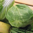 Steamed sauerkraut on old wooden background