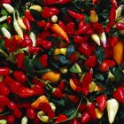 Chicken stir-fry with cashews and peppers