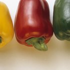 Grilled Peppers