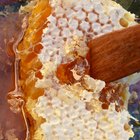 honey
