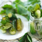 salted or marinated cucumber