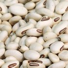 Assortment of beans