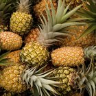 preparation food ingredients