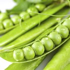 cook good frozen food recipes vegetables