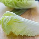 Cucumbers