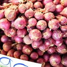 Shallot onions in a group on wood,still life