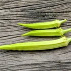 Closed Up Image of Several Okras On a Black, Square Plate, High Angle View, Differential Focus