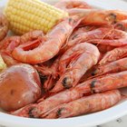 Shrimp