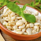 Fava Beans