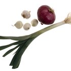 Sliced onion