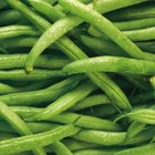pea