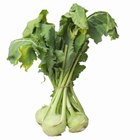 Steamed sauerkraut on old wooden background