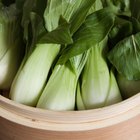 green and red lettuce