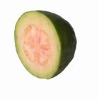 autumn fruits in white background