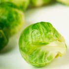 Edamame (Green soybeans)