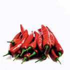 Raw Organic Orange Habanero Peppers