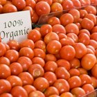 pickled tomatoes