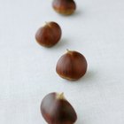 kukui nut lei