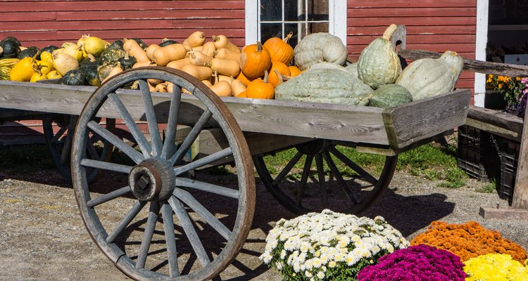 old wagon piled with squash for sale in the fall