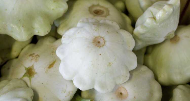 squash