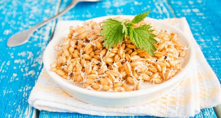 Sprouted wheat seeds with mint
