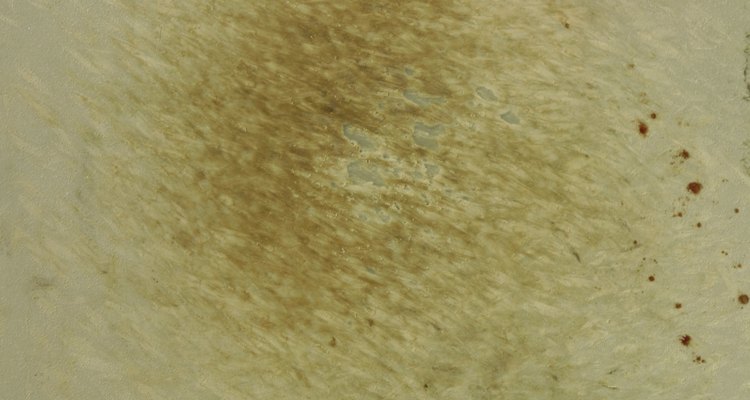 Close up of drum