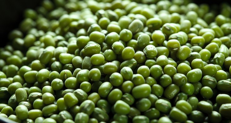 Close-up of mung bean