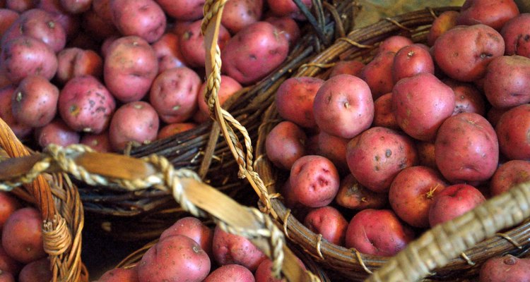 Baskets full of small red new potatoes