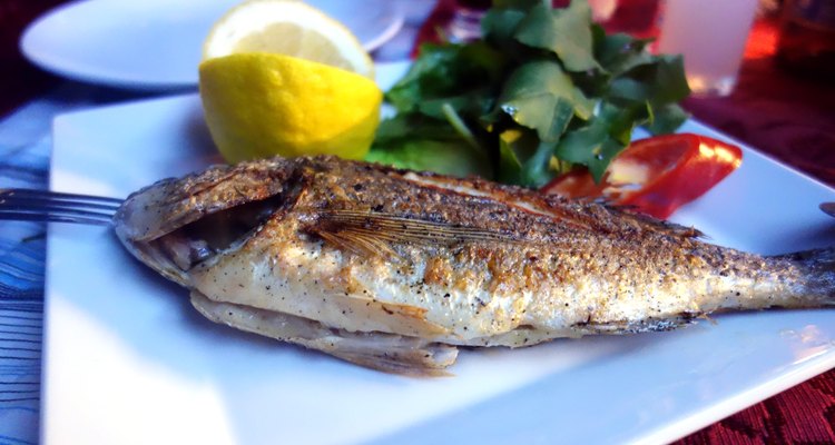 sea bream