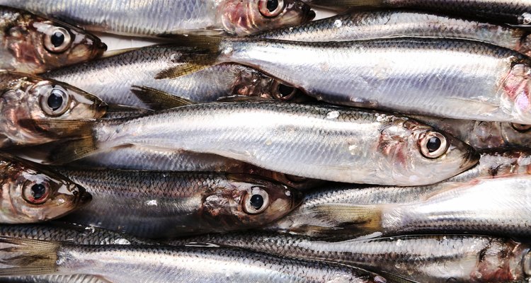 Delicious fish