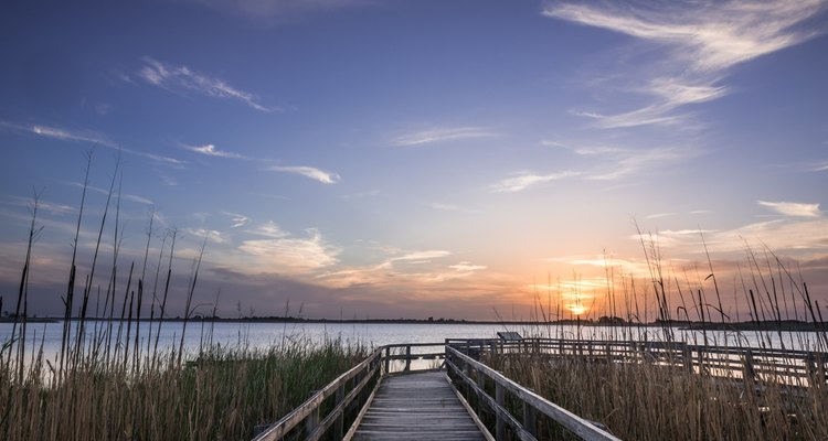 Sunset On The Dock Of The Back Bay