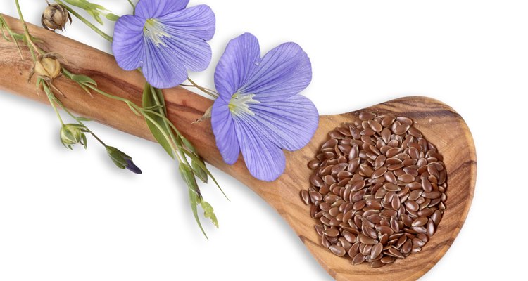 Flax seeds and linum flowers, flax