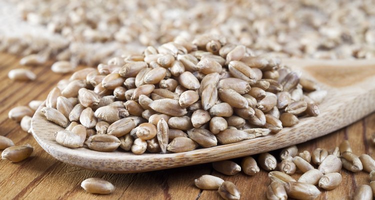 wheat grains in wooden spoon